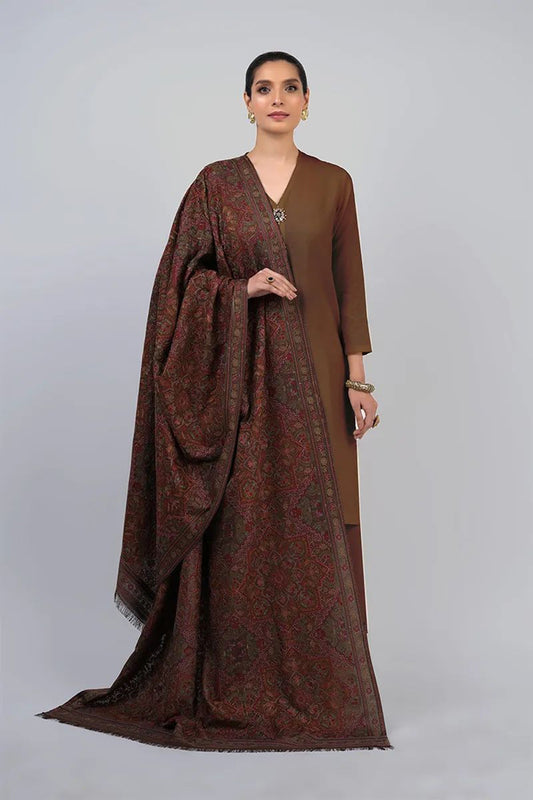 Bareeze 3PC Dhanak Suit with Heavy Embroidered Shawal -BS2063